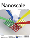 cover_image_nanoscale_2013