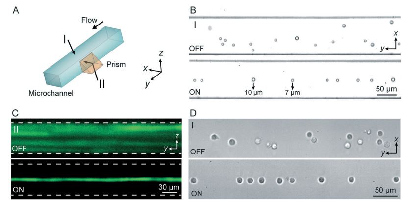 Standing surface acoustic wave (SSAW)-based microfluidic cytometer